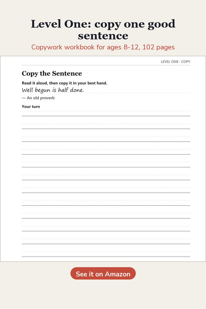 Level One: copy one good sentence