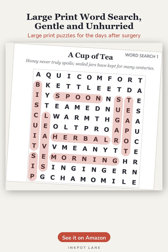 Large Print Word Search, Gentle and Unhurried