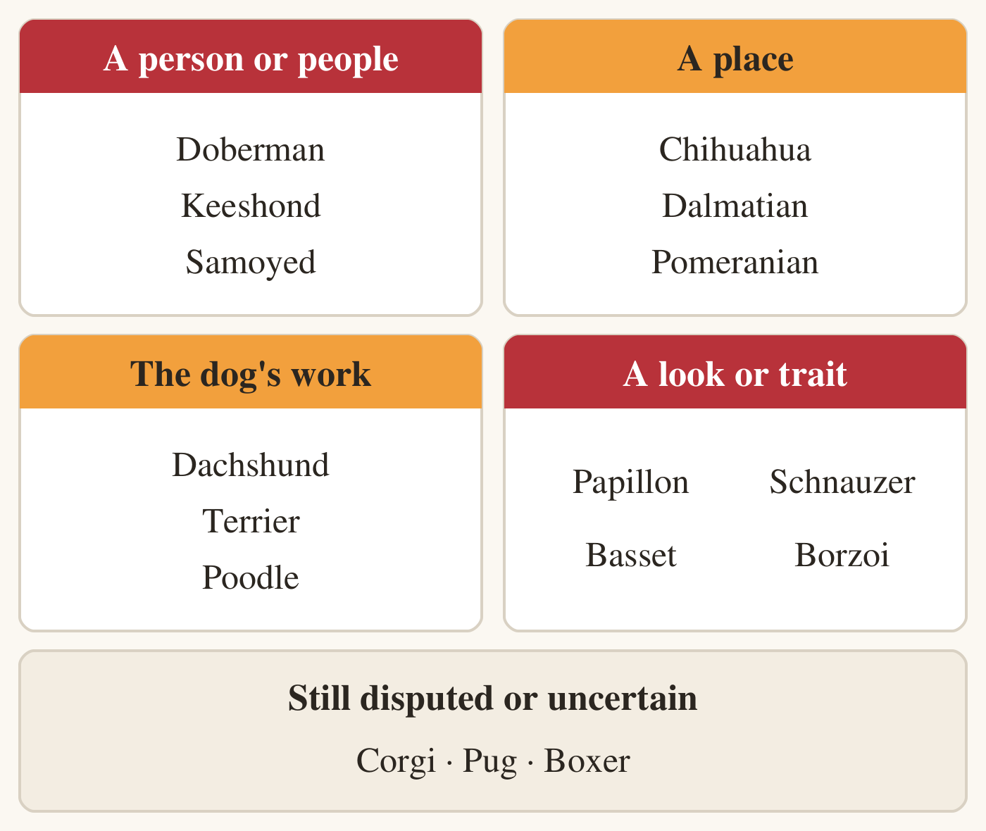Four labelled boxes and a fifth across the bottom. A person or people: Doberman, Keeshond, Samoyed. A place: Chihuahua, Dalmatian, Pomeranian. The dog's work: Dachshund, Terrier, Poodle. A look or trait: Papillon, Schnauzer, Basset, Borzoi. Still disputed or uncertain: Corgi, Pug, Boxer.