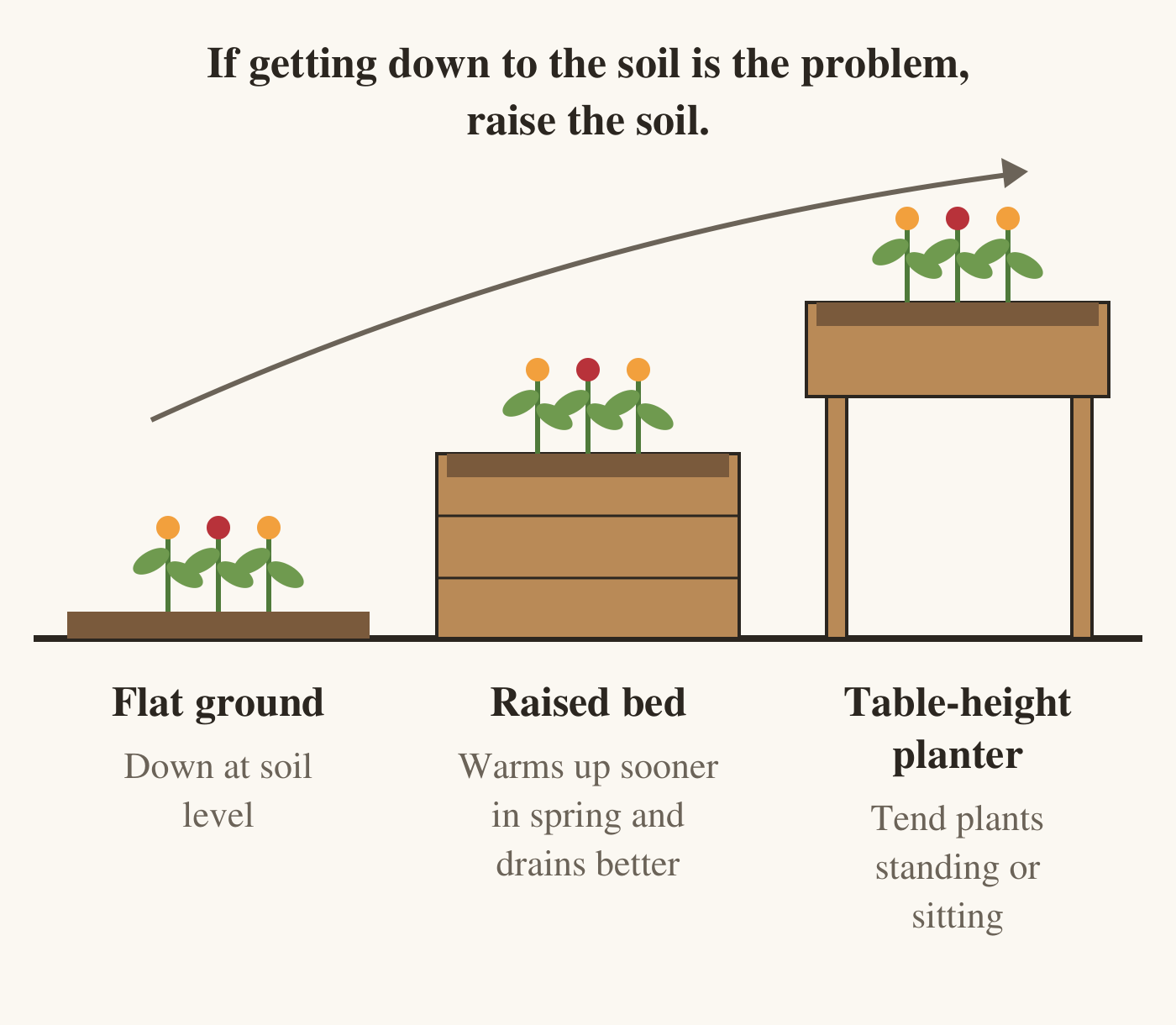 Side view of three planting heights on one ground line, with a dashed arrow rising across them. Left: a flat bed at ground level, labelled down at soil level. Middle: a wooden raised bed, labelled warms up sooner in spring and drains better. Right: a planter on legs at table height, labelled tend plants standing or sitting. Heading: if getting down to the soil is the problem, raise the soil.